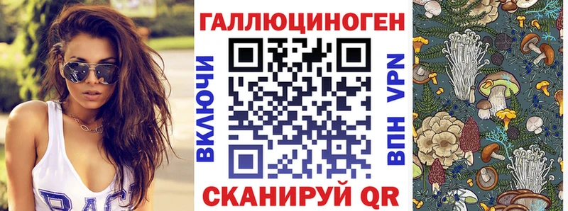 Псилоцибиновые грибы мухоморы  Купить закладки  Карасук 